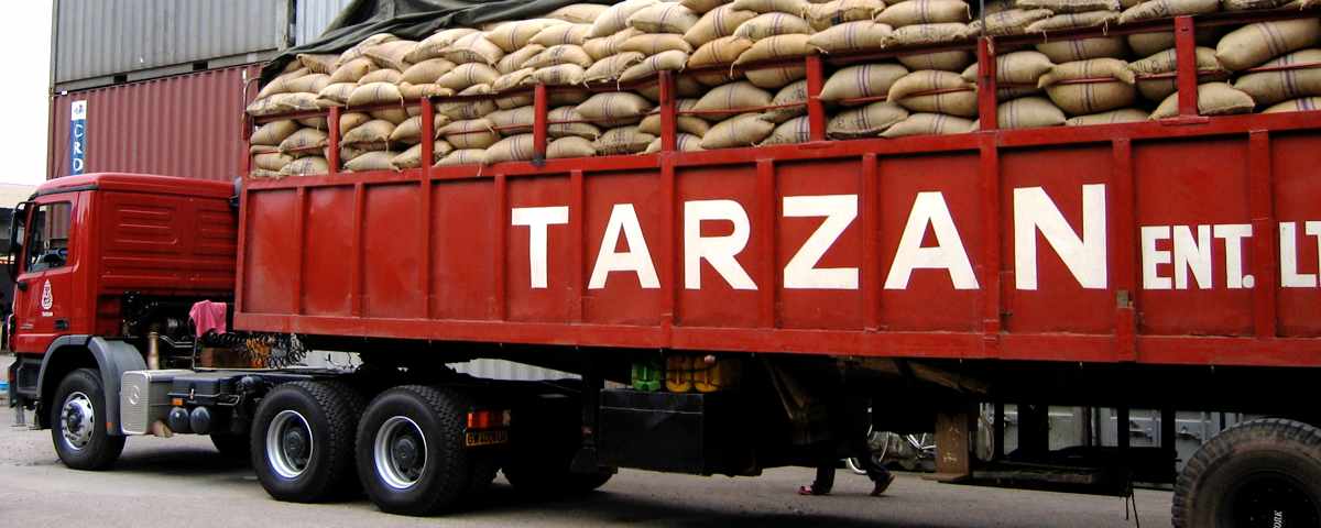 Tarzan Truck Carrying Cocoa Back